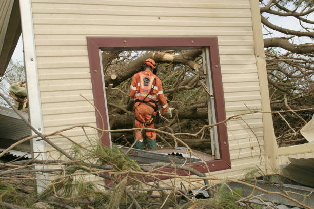 Best Tree Disease Treatment  in La Cygne, KS